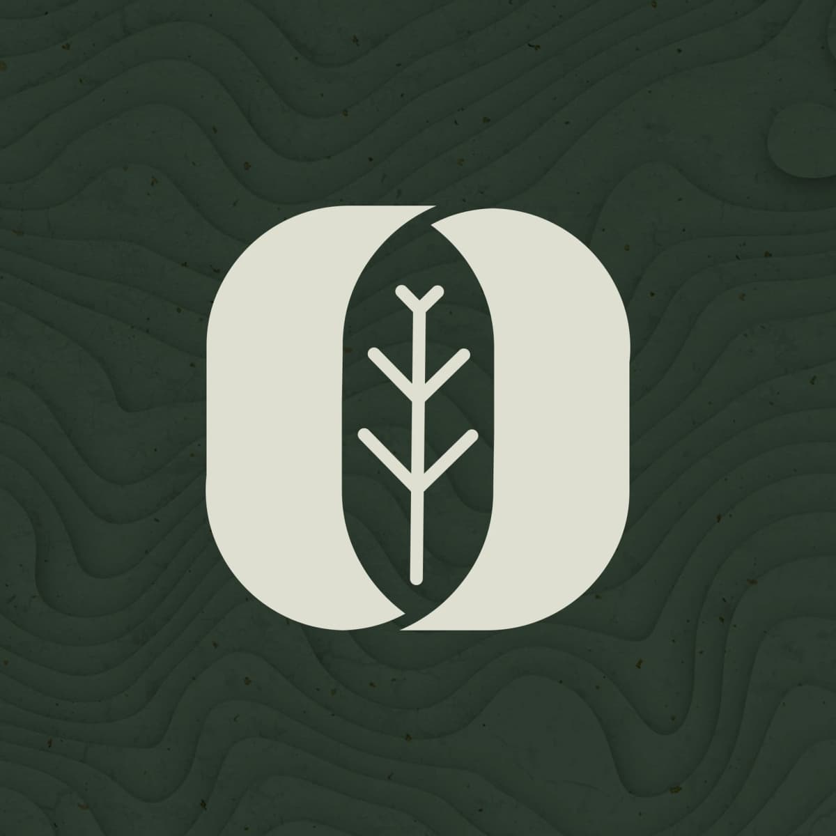 ticket