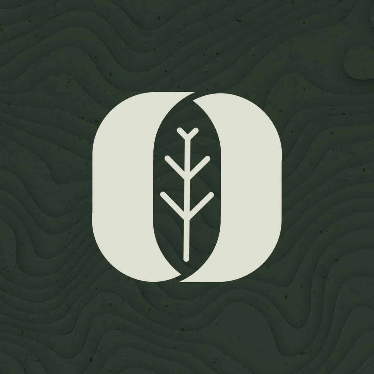 ticket